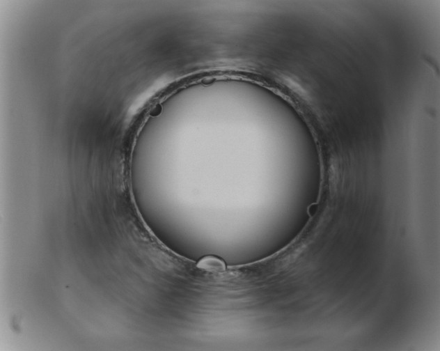 X0000103491310200809191913