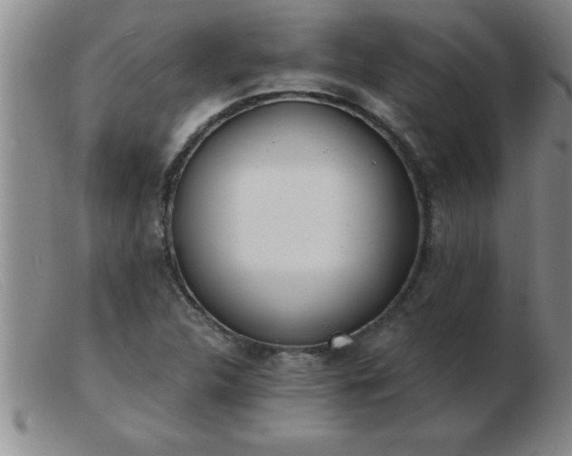 X0000103491312200809191913