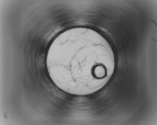 X0000103491314200809191913