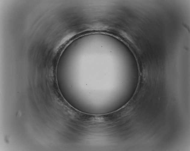 X0000103491315200809191913