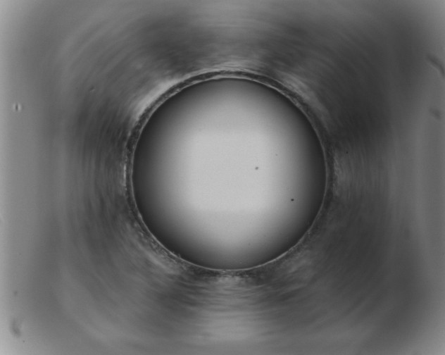 X0000103491316200809191913