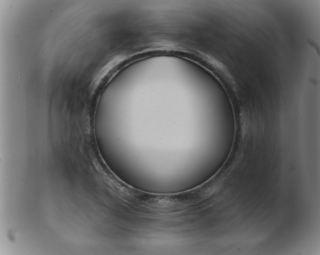 X0000103491318200809191913