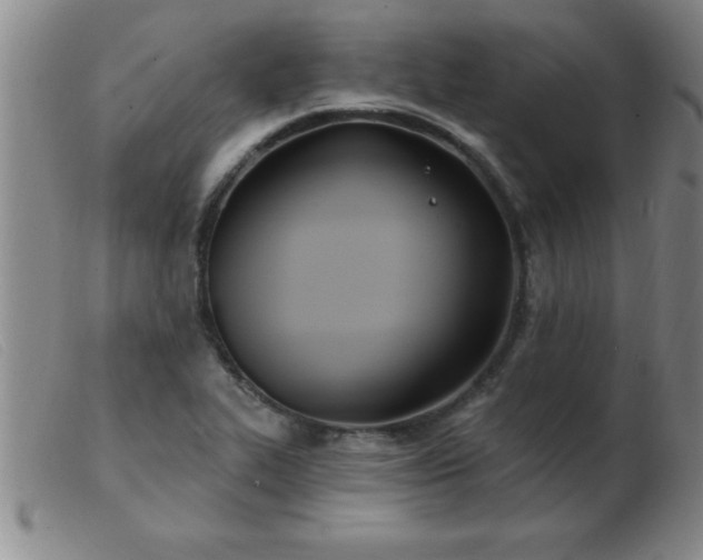 X0000103491319200809191913