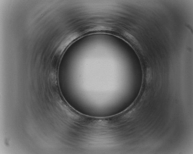 X0000103491321200809191913