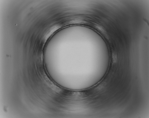 X0000103491322200809191913