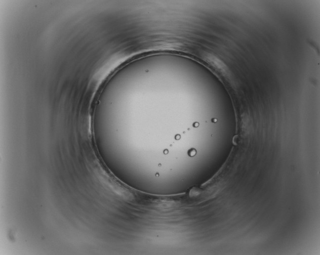 X0000103491324200809191913