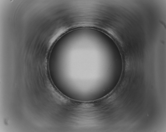 X0000103491325200809191913