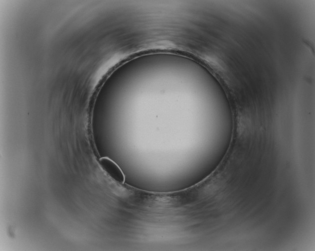 X0000103491326200809191913