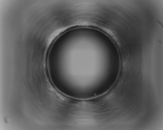 X0000103491327200809191913