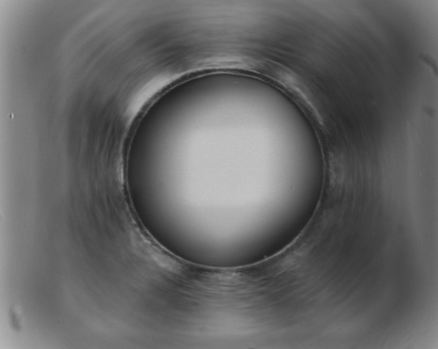 X0000103491328200809191913