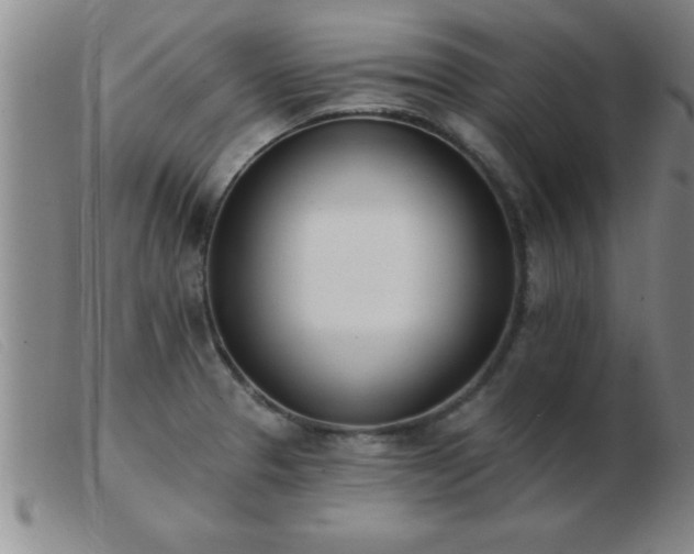 X0000103491329200809191913