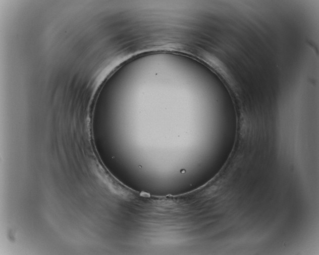 X0000103491332200809191913