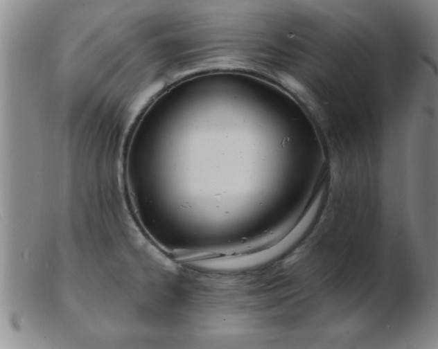 X0000103491334200809191913