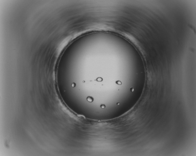 X0000103491335200809191913