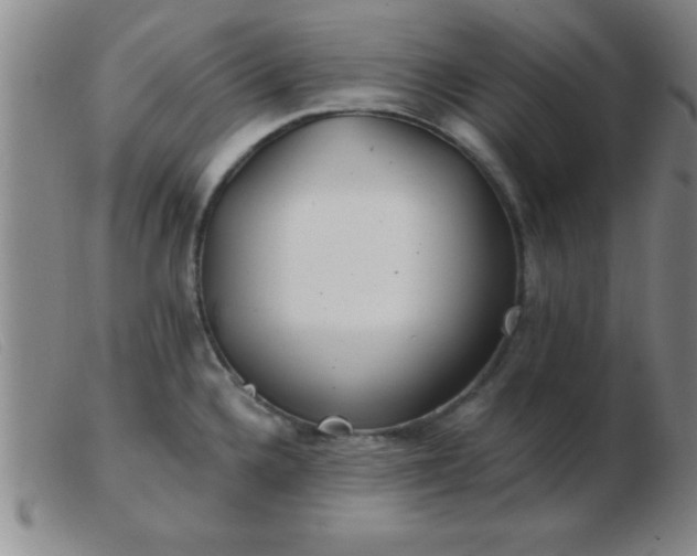 X0000103491336200809191913