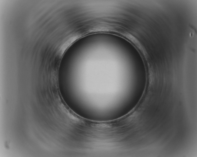 X0000103491337200809191913