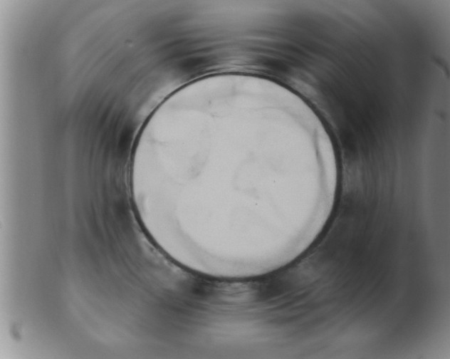 X0000103491338200809191913