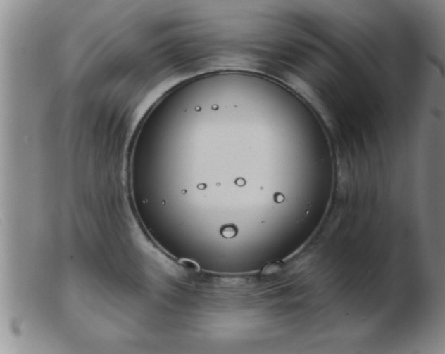 X0000103491339200809191913