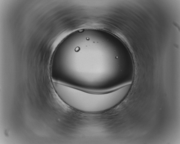 X0000103491344200809191913