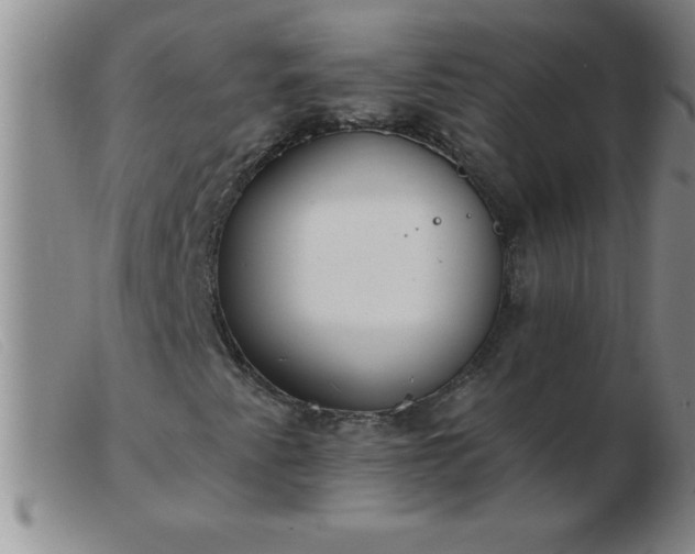 X0000103491345200809191913