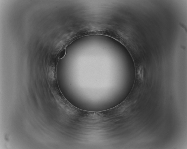 X0000103491348200809191913