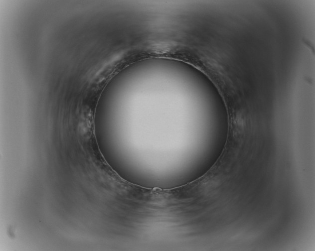 X0000103491349200809191913