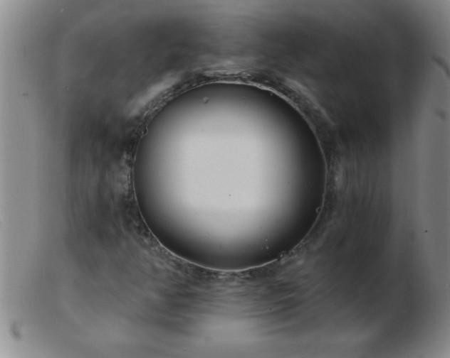 X0000103491350200809191913