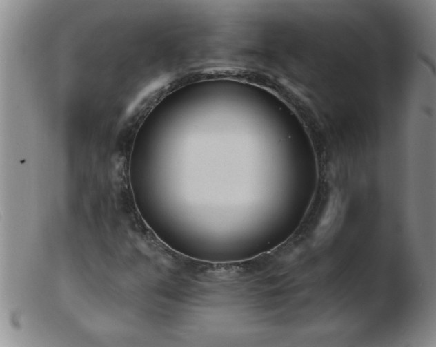 X0000103491351200809191913