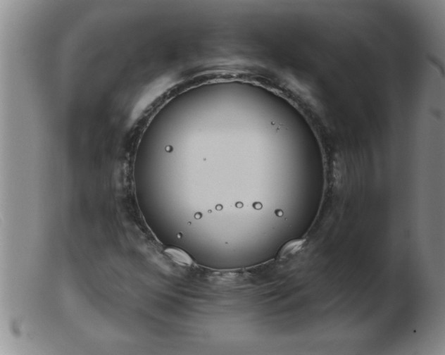 X0000103491352200809191913