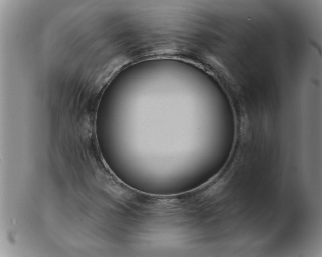 X0000103491353200809191913