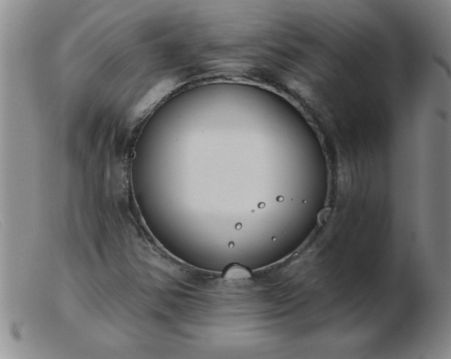 X0000103491354200809191913