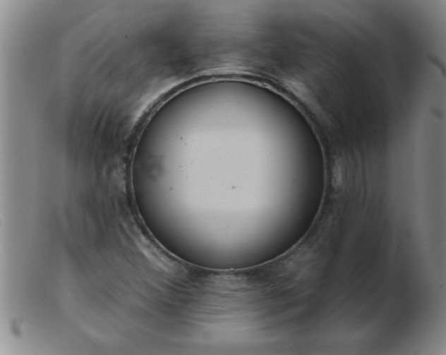 X0000103491356200809191913