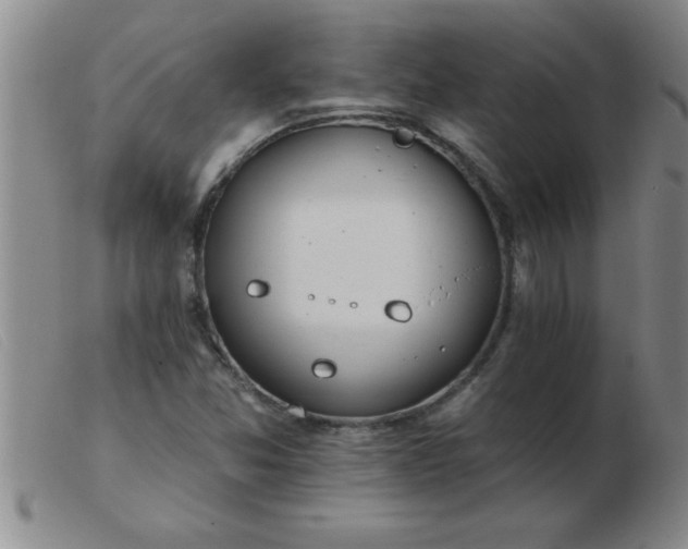 X0000103491357200809191912