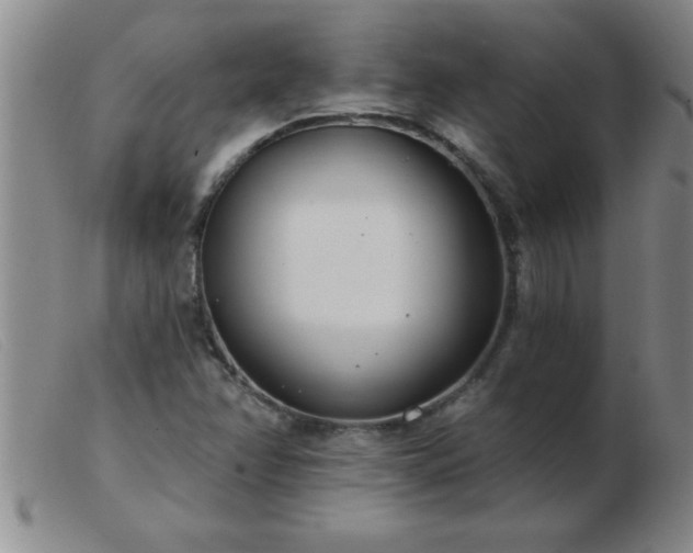 X0000103491358200809191912