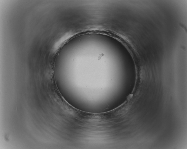 X0000103491359200809191912