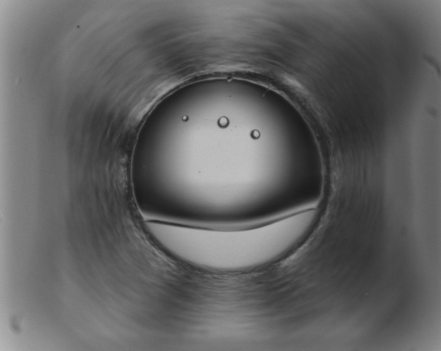 X0000103491361200809191912