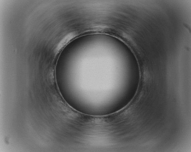 X0000103491362200809191912