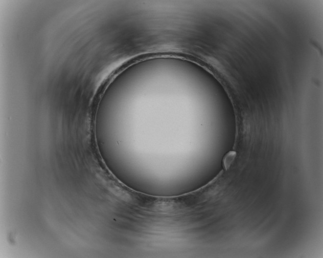 X0000103491364200809191912