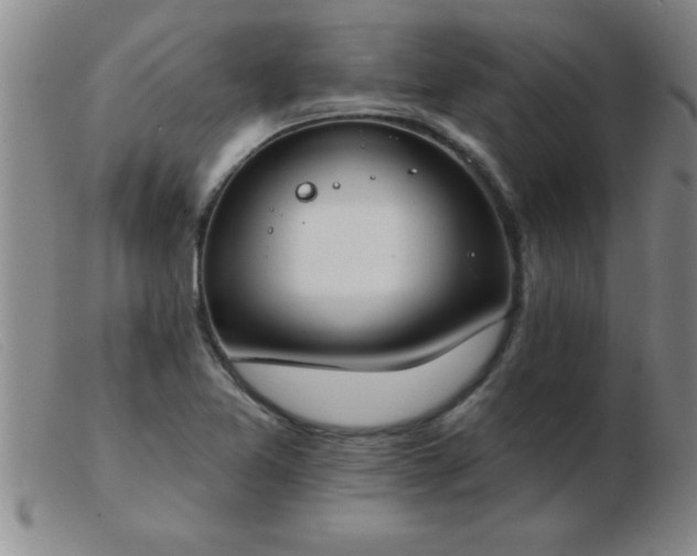 X0000103491365200809191912