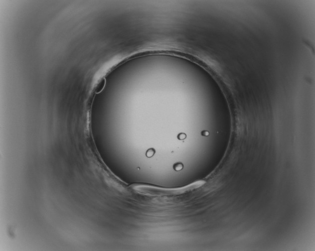 X0000103491366200809191912