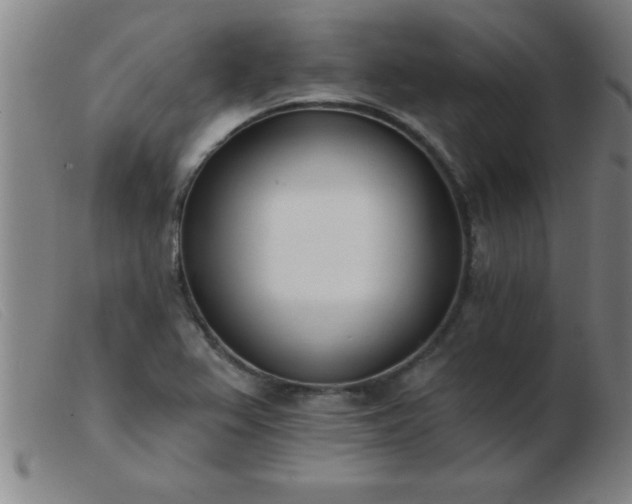 X0000103491367200809191912