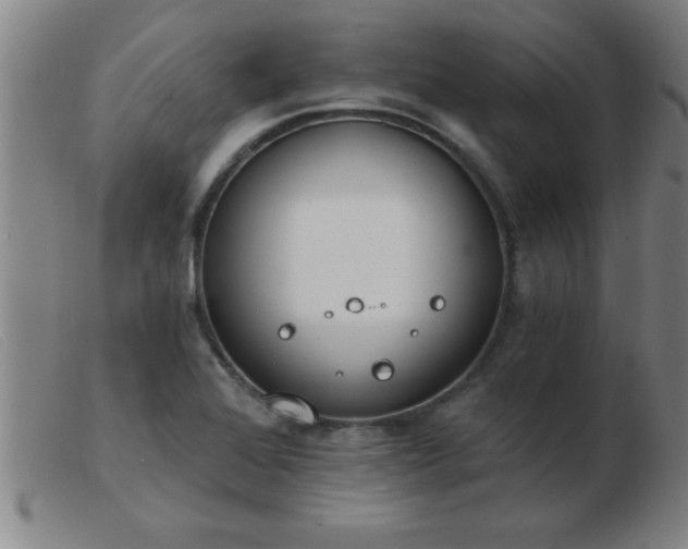 X0000103491368200809191912