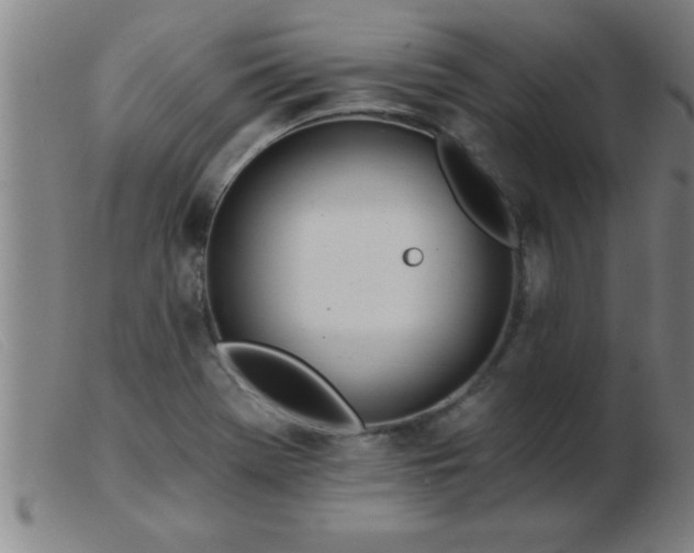 X0000103491369200809191912