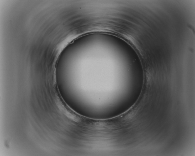 X0000103491371200809191912