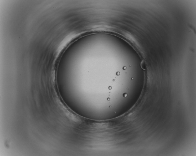 X0000103491376200809191912