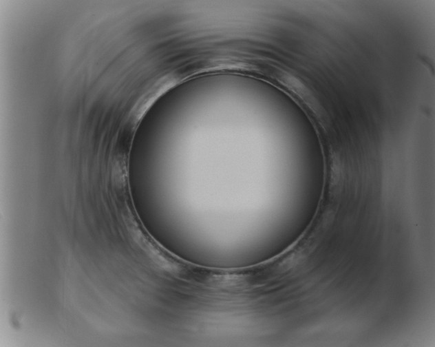 X0000103491377200809191912