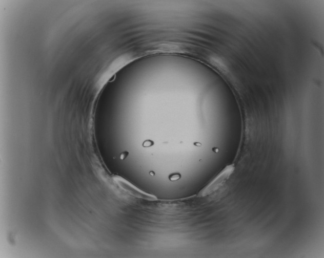 X0000103491378200809191912