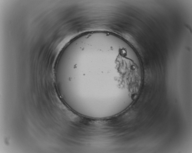 X0000103491380200809191912