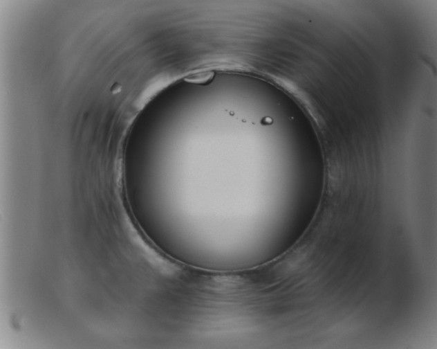 X0000103491383200809191912