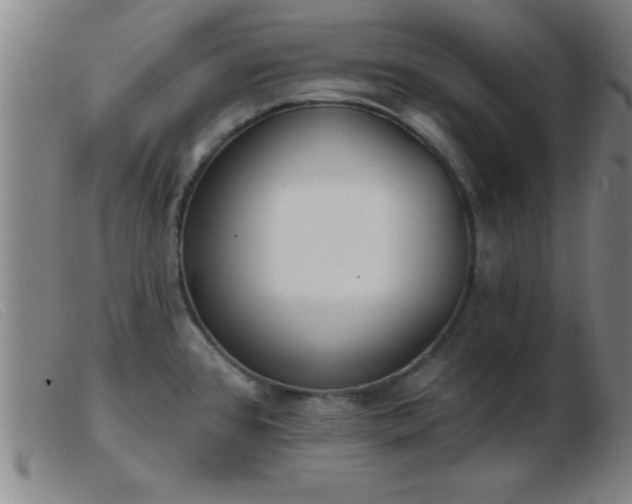 X0000103491384200809191912